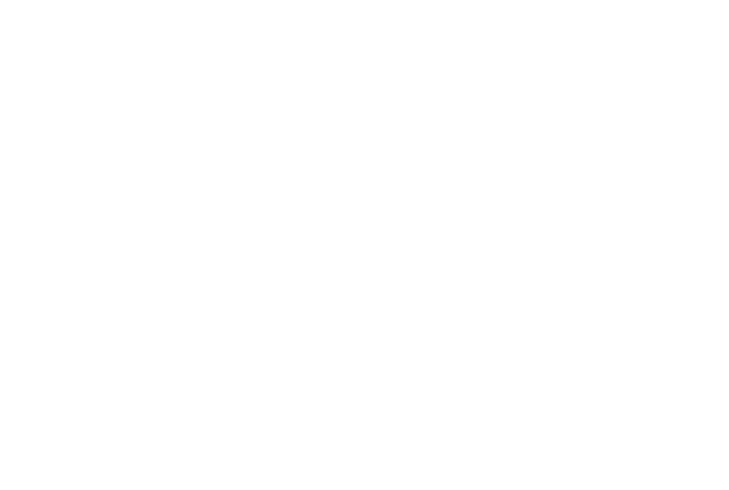 icon-logo